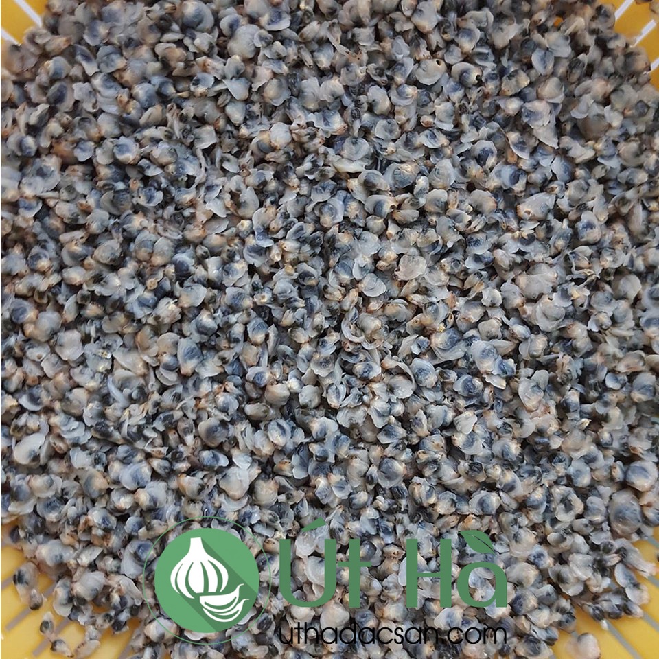 Hến Tươi Quảng Ngãi Đã Làm Sạch 1 Phần 0.5Kg Cái Hên Và 1 Bịch Nước Cốt Đặc 1Kg - Út Hà Đặc Sản