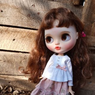 Búp bê Blythe custom