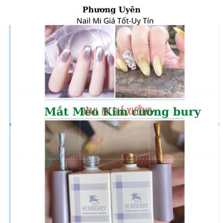Sơn gel mắt mèo kim cương burbeery ,Sơn mắt mèo siêu hót đẹp cao cấp