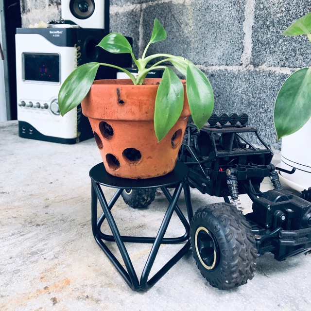Kệ cây mini để bàn  dùng để bàn làm việc - bàn ăn cao 10cm