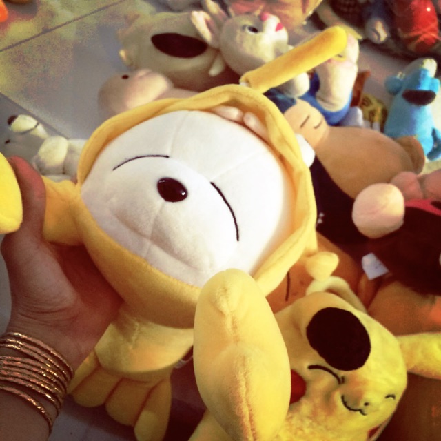 Gấu bông của hoho