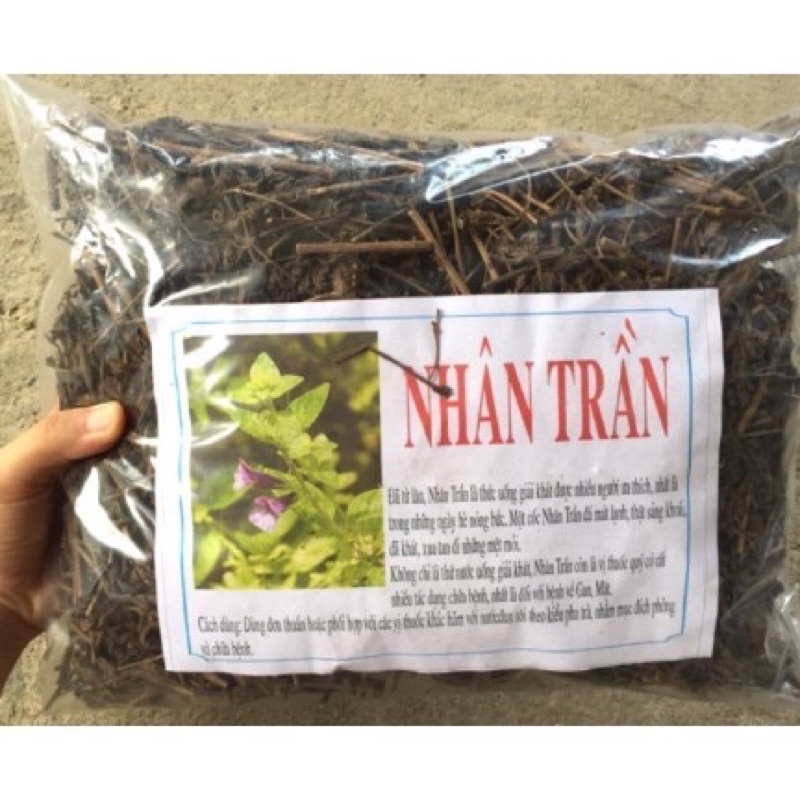 Nhân trần khô 1kg thanh nhiệt cơ thể cho mùa hè