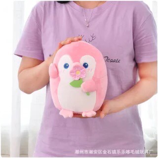 GẤU BÔNG CÁNH CỤT, SƯ TỬ SIZE LỚN