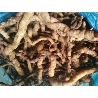 Ba kích rừng-1kg (Ba chẽ_Quảng Ninh)