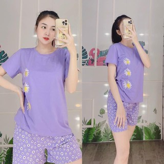 ĐỒ BỘ QUẦN ÁO THUN ĐÙI BÔNG CÚC HỌA MI THỜI TRANG 3 size 45-65KG chất liệu thun cotton