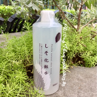 Toner Tía Tô 500ml 🇯🇵