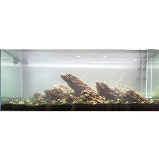 Phân Nền Nhật Bản Aqua Best 1 Lít