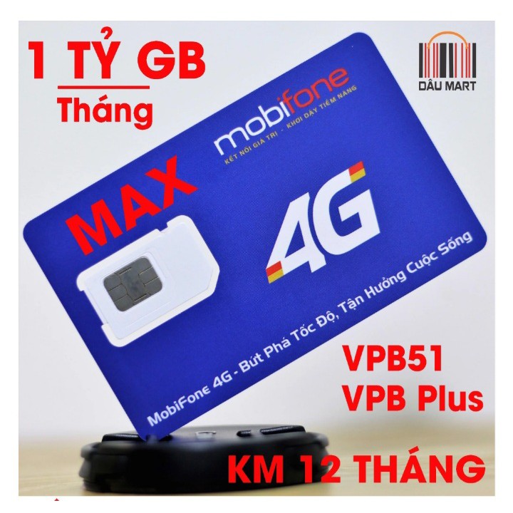 SIM MOBI VPB51 MAX 12 THÁNG