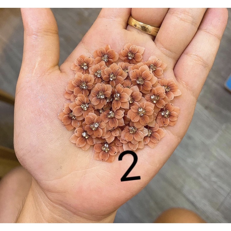 HOA CHÂN SIÊU ĐẸP