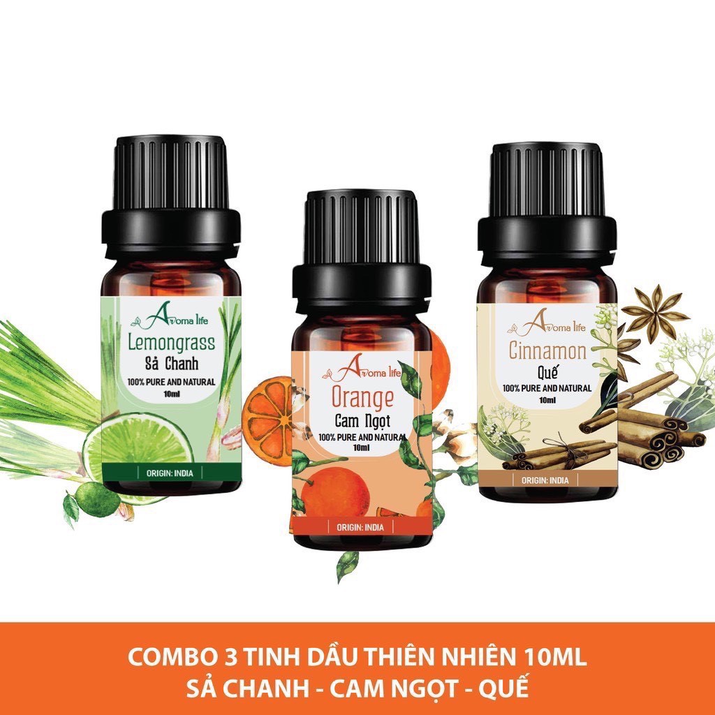 Combo 3 chai tinh dầu nguyên chất 10ml Ấn Độ