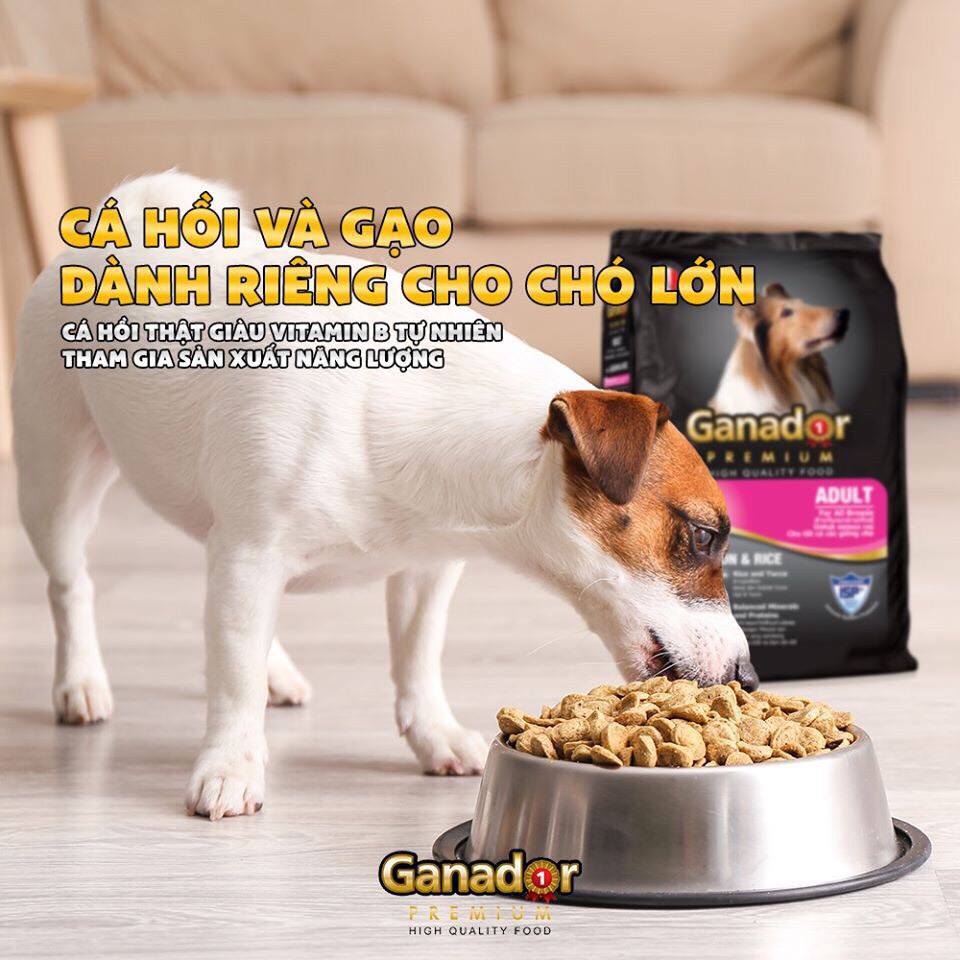 Gói 400g thức ăn cho chó Ganador SmartHeart  Classic Fib's ️ FREESHIP ️ Thức ăn hạt cho chó - CHỌN VỊ