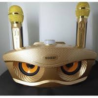 Loa Bluetooth karaoke kèm 2 míc SDRD-306