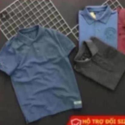 Áo thun nam đẹp có cổ Riooshop logo nổi cao cấp RXP026