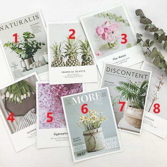 Đạo cụ chụp ảnh - phông nền bìa tạp chí hoa cỏ