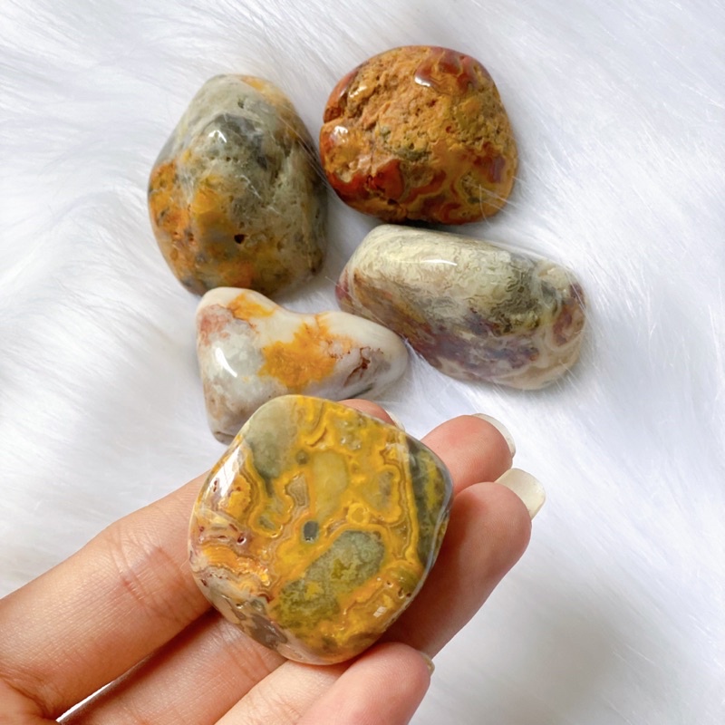 Tumble Crazylace Agate - Mã não điên cuồng can đảm, ổn định, tích cực