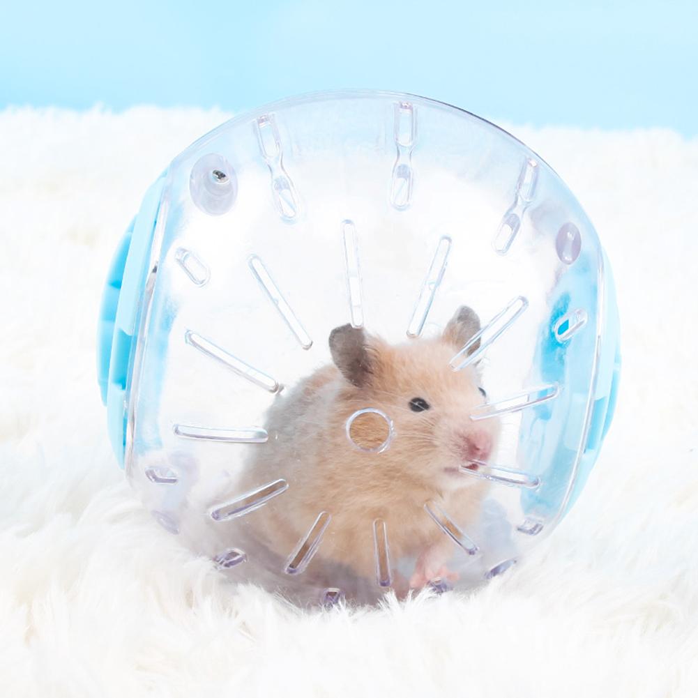 🐶SD Vật nuôi nhỏ bằng nhựa Thể thao ngoài trời Ball Grounder Chạy bộ Hamster Pet Đồ chơi tập thể dục nhỏ