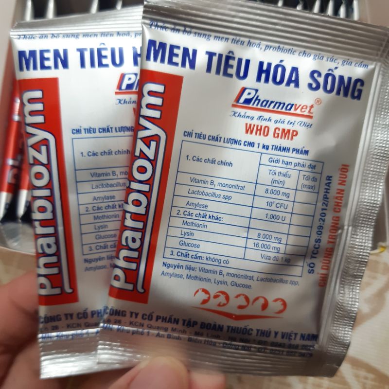 Men tiêu hóa Pharbiozym 5g