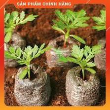 Bộ 100 viên nén ươm hạt xơ dừa hữu cơ trồng rau, dâu tây, thủy canh