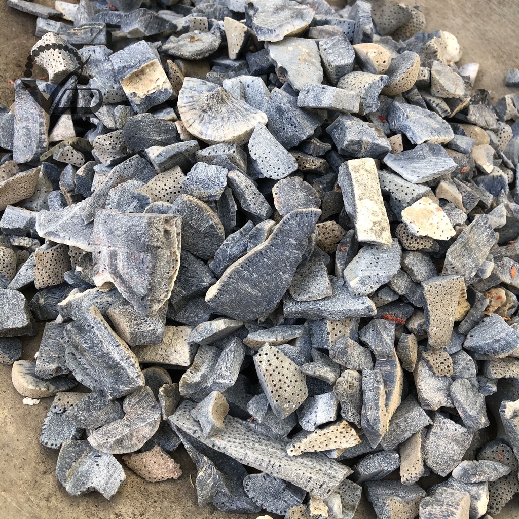 Vụn San hô Xanh dùng làm Trấn Trạch, rải Hồ cá CNC VĂN BÉ
