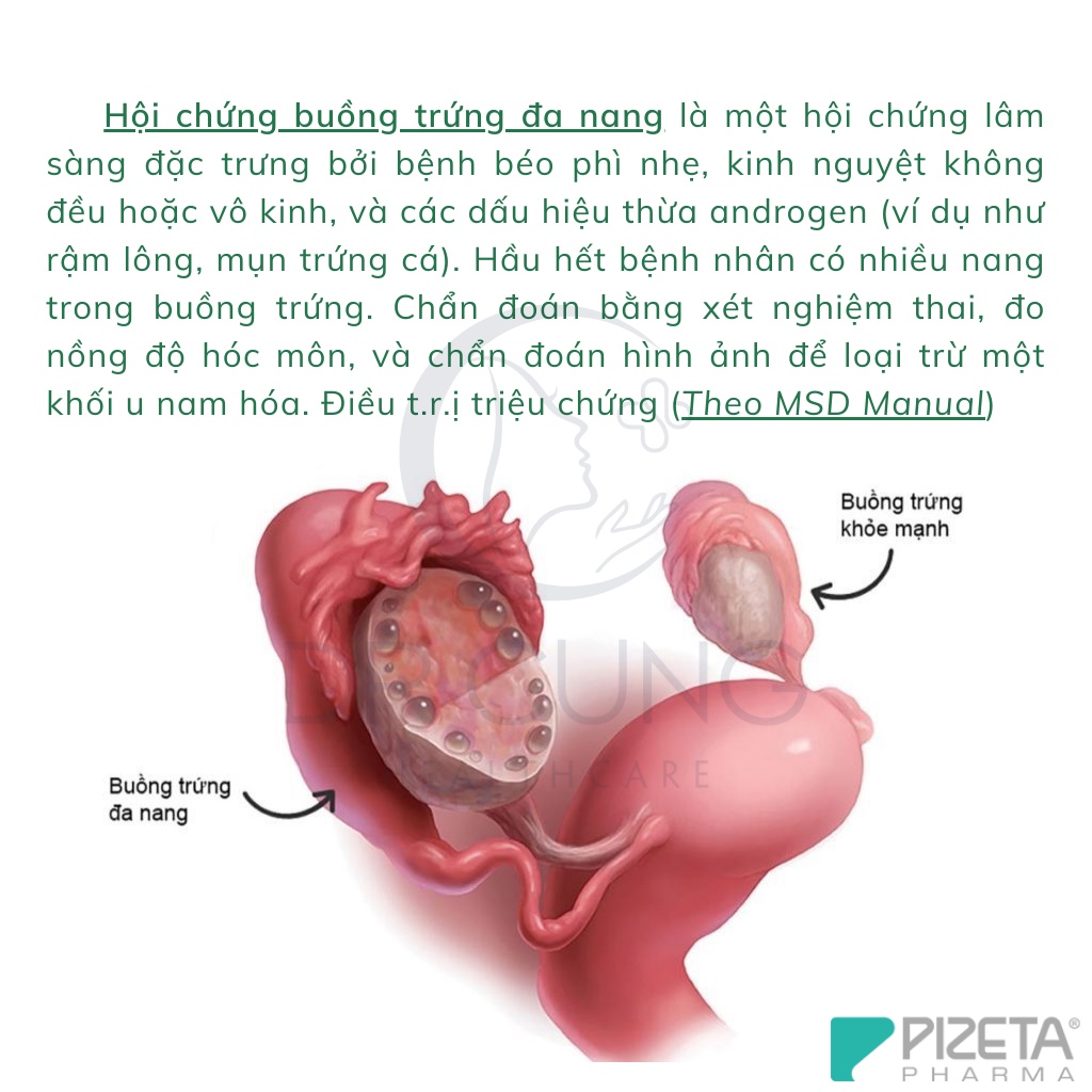 Bác Sĩ Cung Bổ Trứng Endokirogen - Tăng Khả Năng Thụ Thai, Buồng Trứng Đa Nang, Cân Bằng Nội Tiết Tố Nữ