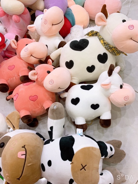 Gấu bông hình bò sữa  các cỡ