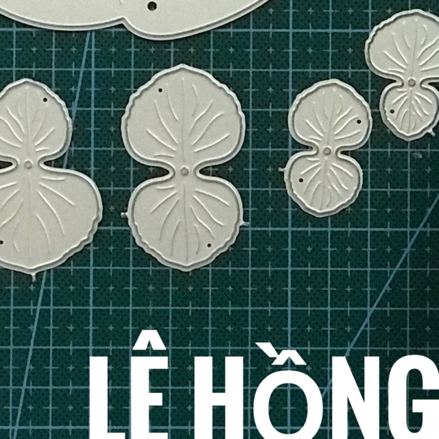 Khuôn hoa tú cầu cánh lệch