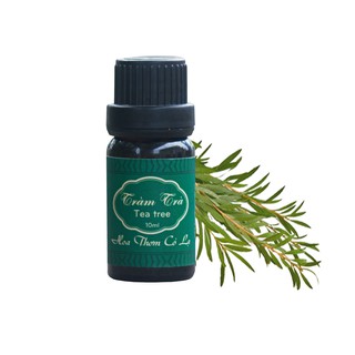 Tinh Dầu Tràm Trà Nguyên chất - Tea Tree Essential Oil - Hoa Thơm Cỏ Lạ
