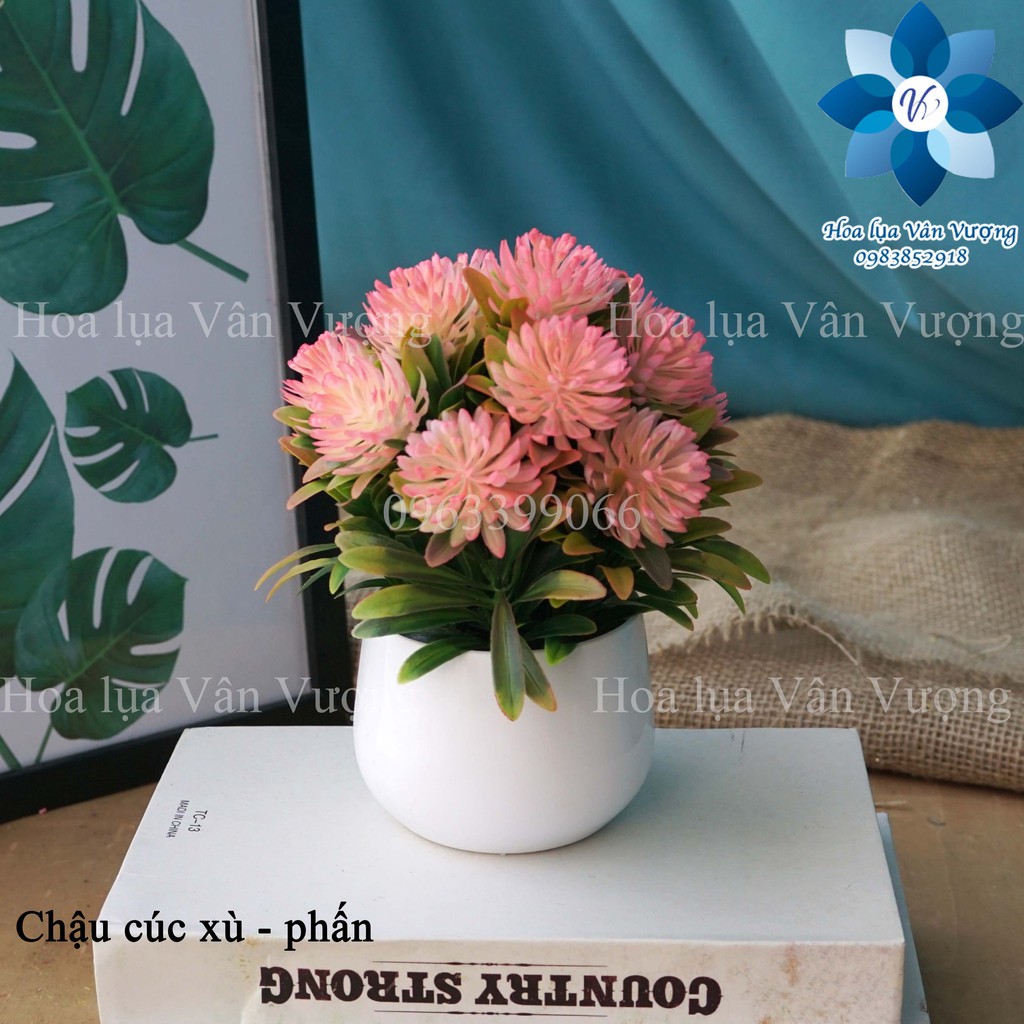 Hoa Giả 🌺FREESHIP🌺 Chậu Hoa Nhựa Để Bàn