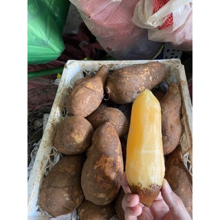 [GIAO HOẢ TỐC] Khoai Sâm Đất, Củ Sâm Đất (1kg) giao nhanh Tp.HCM