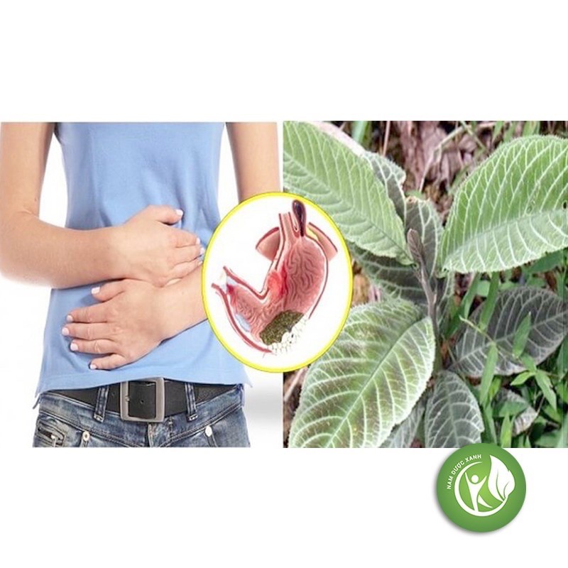 1 Kg lá khôi tía  Hàng đảm bảo