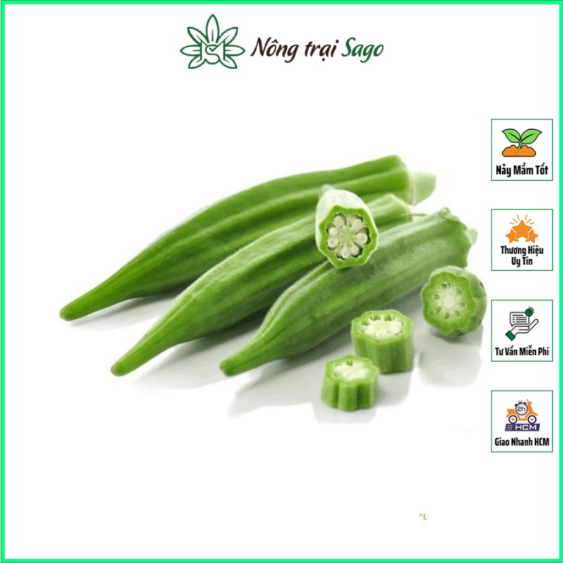 Hạt giống Đậu Bắp Cao Sản, Kháng Bệnh Tốt, Trồng Quanh Năm (gói 20 gr) - Nông Trại Sago