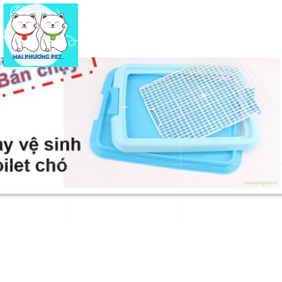 Khay vệ sinh cho chó lớn và nhỏ (màu ngẫu nhiên)Tặng 3 tấm tã giấy - khay dạng dẹt đi vệ sinh cho chó đực và chó cái