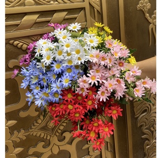 Hoa Cúc Họa Mi, Cúc Sao Nháy Giả Siêu Đẹp nhiều hoa sinh động như thật.