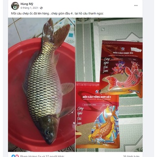 Mồi Câu Chép Ốc 300gram Sa phạm