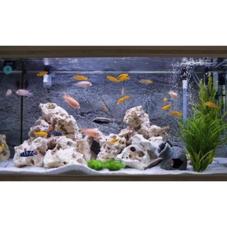 1 kg Đá sỏi màu trắng nhỏ nhuyễn dùng trải nên hồ cá và trang trí sân vườn