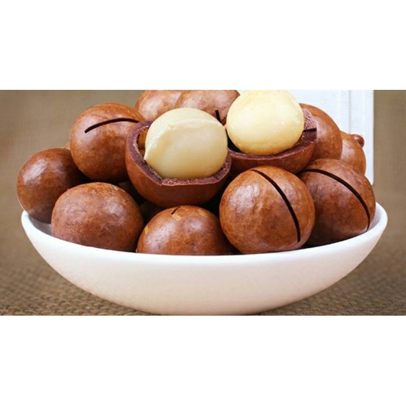 Hạt Macca Mắc Ca Macadamia Úc Nứt Vỏ 500g/ Hủ  (Mỏng Vỏ Loại 1 Tặng Kèm Đồ Khui Giòn Béo Thơm Ngon)