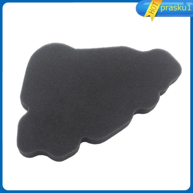 Bộ Lọc Khí Thay Thế Cho Xe Scooter 125 2000-2003 Prasku1 | BigBuy360 - bigbuy360.vn