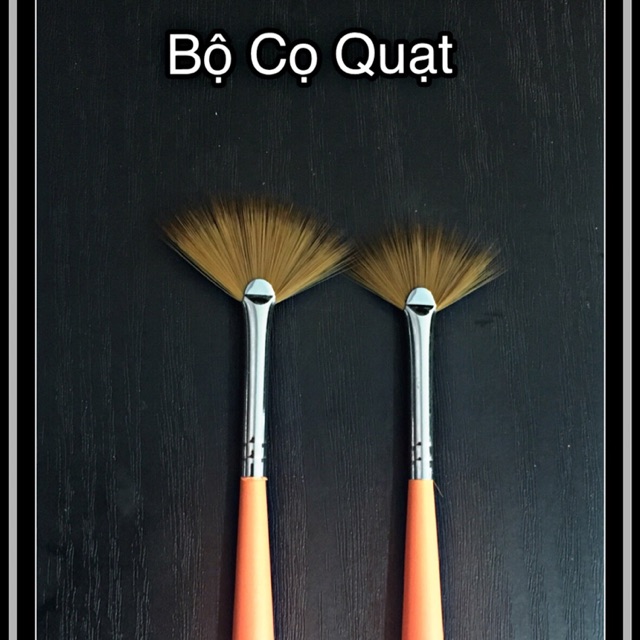 Bộ cọ Quạt