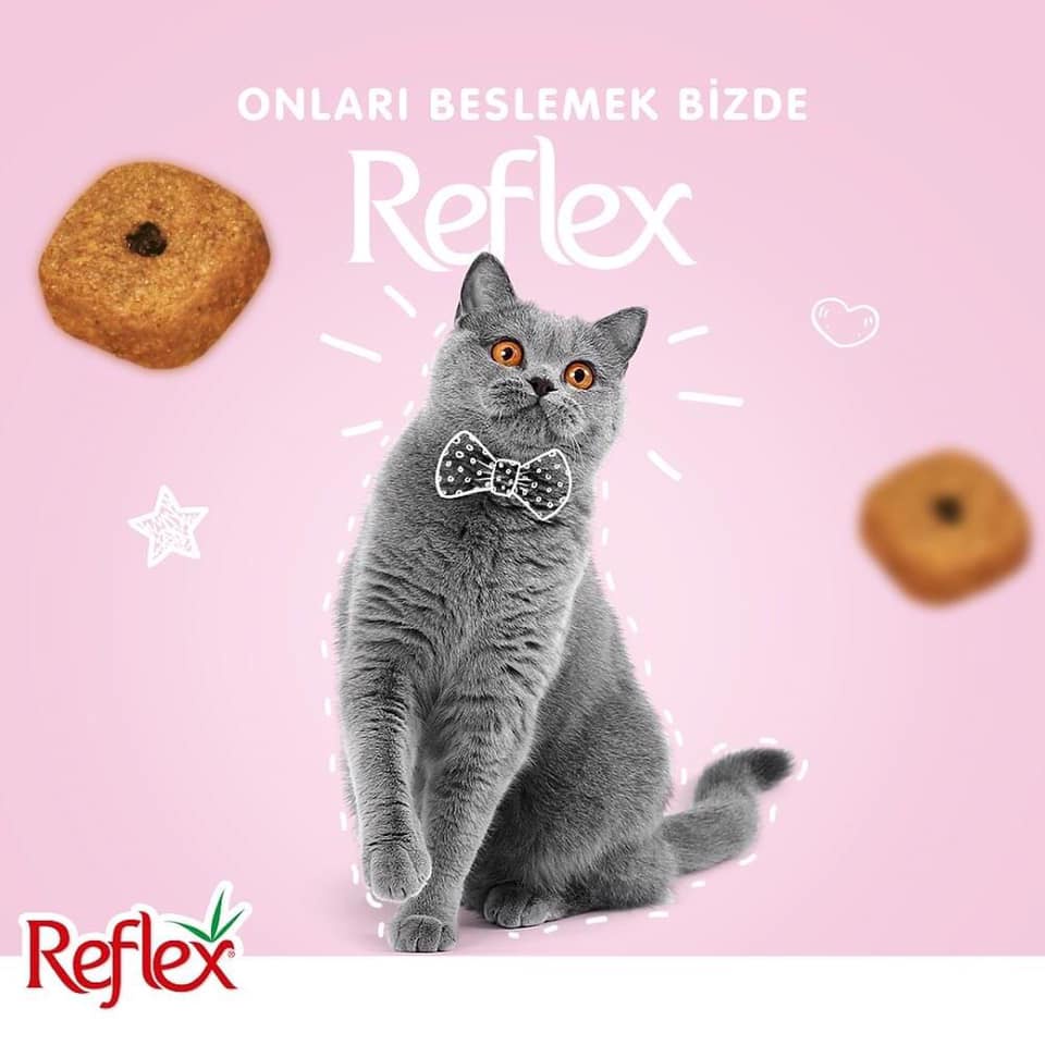tổng hợp dòng thức ăn Reflex trắng 2kg cho mèo