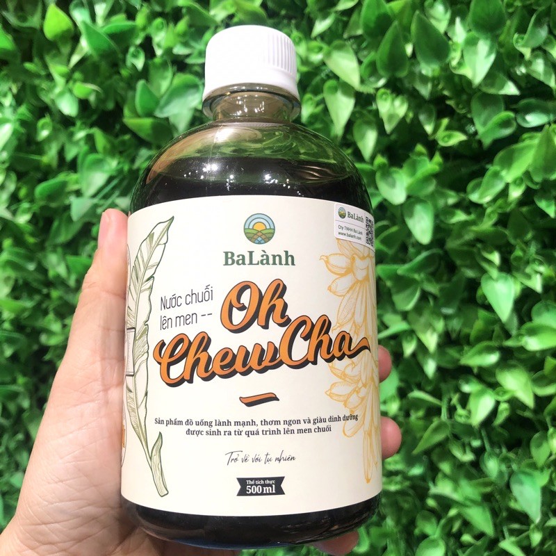 OHCHEWCHA 500ML (CHAI NHỰA) | BigBuy360 - bigbuy360.vn