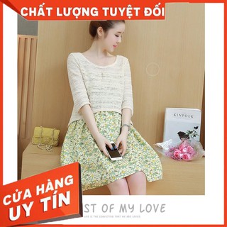 Đầm Bầu, Váy Bầu Cao Cấp Habi 2