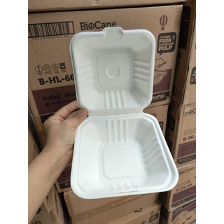 Hộp bã mía  vuông / 50 hộp