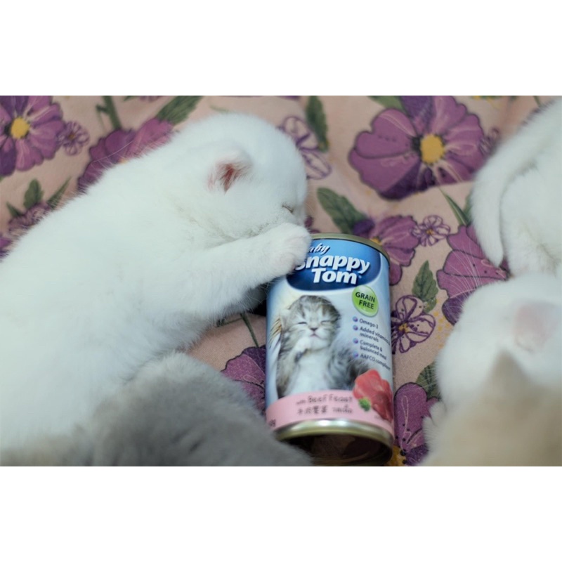 [Mã PET50K giảm Giảm 10% - Tối đa 50K đơn từ 250K] Pate Lon Cho Mèo Con Baby Snappy Tom 150g
