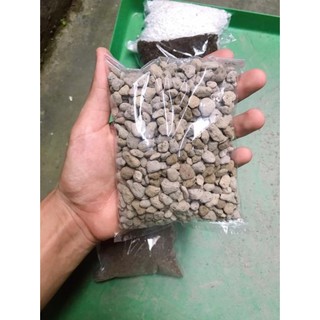 Đá PUMICE - Cực phẩm cho cây mọng nước, lan, hoa hồng, cây cảnh