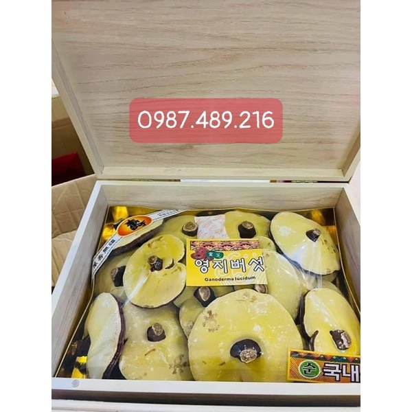 Nấm Linh Chi Vàng Chanh 365, Hộp Quà Biếu Sang Trọng