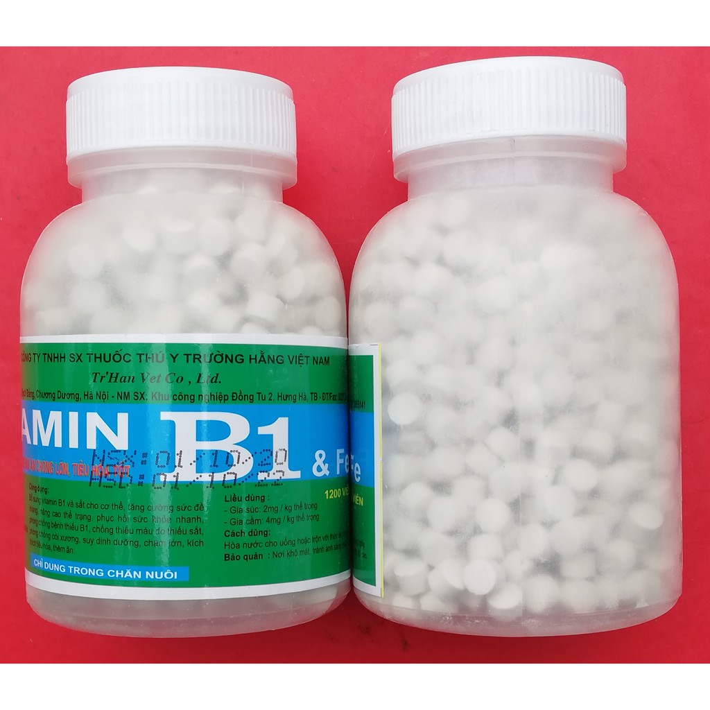 1 lọ VITAMIN B1 200g KÍCH THÍCH GIA SÚC, GIA CẦM, CHÓ MÈO HAM ĂN CHÓNG LỚN, TIÊU HÓA TỐT. Có thể dùng bón cho hoa lan