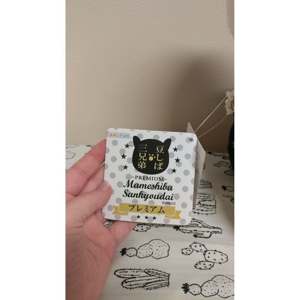 Mameshiba Premium Big Chính Hãng Gấu Bông Nhật Amuse Authentic