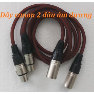 Combo 2 dây jack canon