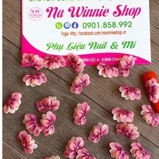 Hoa cúc nghiêng , hoa bột [ 12k/1cái ]
