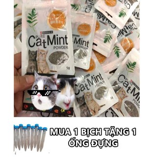 Cỏ mèo - Giúp giảm stress cho mèo ( tặng ống đựng cỏ )